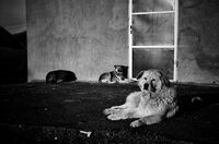 no name ( ID=2580038 ); comments:4