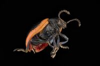 no name ( ID=2580073 ); comments:4