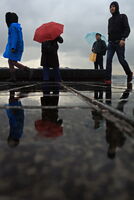 без име ( ID=2580083 ); Коментари:2