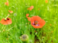 no name ( ID=2580100 ); comments:1