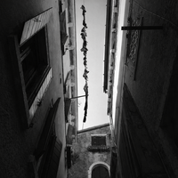 без име ( ID=2580107 ); Коментари:13