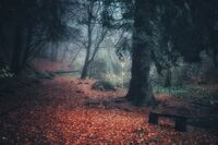 no name ( ID=2580129 ); comments:3