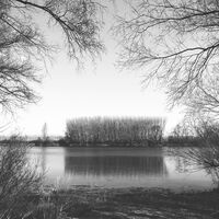 no name ( ID=2580132 ); comments:7