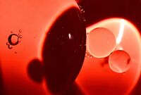 Червено; comments:1