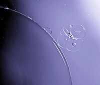 Докосване; No comments