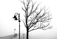 Мелодия; comments:22