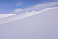 Snow; Коментари:7