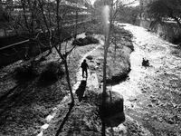 no name ( ID=2580180 ); comments:2