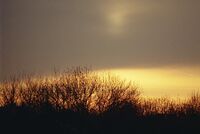 no name ( ID=2580186 ); comments:2