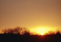 без име ( ID=2580187 ); Няма коментари