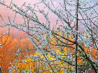 no name ( ID=2580202 ); comments:2