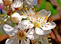 no name ( ID=2580203 ); comments:4