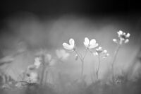 no name ( ID=2580207 ); comments:6