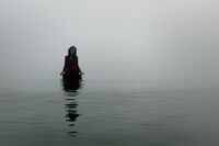 без име ( ID=2580240 ); Коментари:8