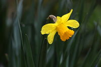 no name ( ID=2580249 ); comments:6