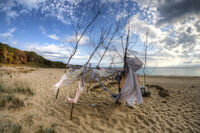 no name ( ID=2580252 ); comments:4