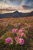 без име ( ID=2580258 ); Коментари:14