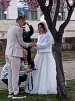 Професионалисти; Коментари:1