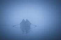 без име ( ID=2580263 ); Коментари:14