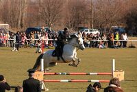 no name ( ID=2580270 ); comments:1