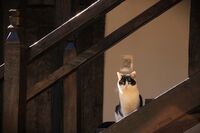 no name ( ID=2580272 ); comments:3