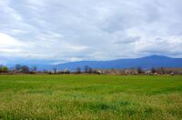 Пролет.; Коментари:1