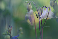 no name ( ID=2580284 ); comments:18