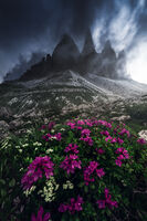 Короната на Доломитите; Коментари:4