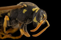 no name ( ID=2580333 ); comments:2