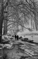 САмо по двама...; comments:11