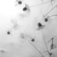 no name ( ID=2580361 ); comments:13