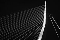 no name ( ID=2580364 ); comments:7