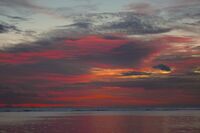 кървавият залез; comments:2