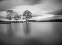 no name ( ID=2580386 ); comments:18