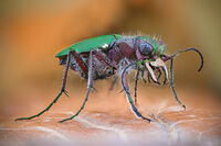 no name ( ID=2580388 ); comments:3