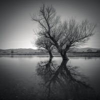 V като вендета; Коментари:6