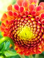 Могъщата красота на природата; No comments