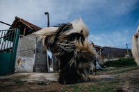 Варвара; Няма коментари