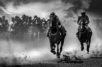 no name ( ID=2580434 ); comments:26