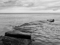 Варненско утро; Коментари:1