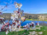 no name ( ID=2580454 ); comments:1