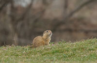 no name ( ID=2580468 ); No comments