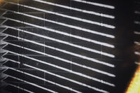 РайЕ (х2); comments:3