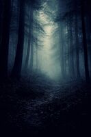 Arriving Somewhere But Not Here; comments:8