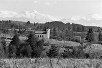 без име ( ID=2580474 ); Коментари:1