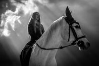 Величие и красота; comments:1