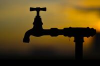 без име ( ID=2580504 ); Коментари:3