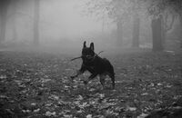 no name ( ID=2580537 ); comments:7