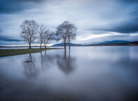 no name ( ID=2580539 ); comments:4