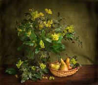 no name ( ID=2580549 ); comments:6